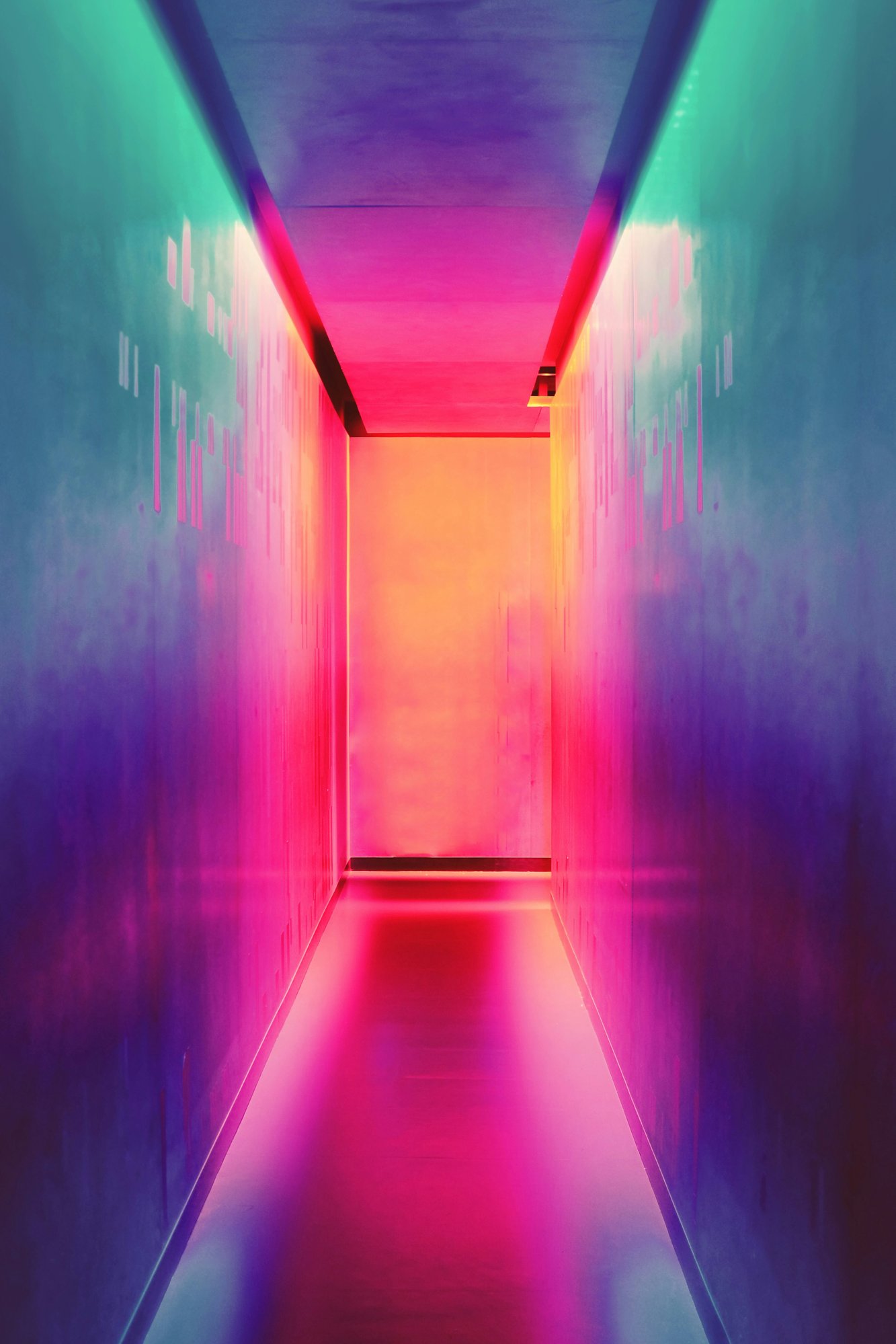 efe-kurnaz-RnCPiXixooY-unsplash efe-kurnaz-RnCPiXixooY-unsplash